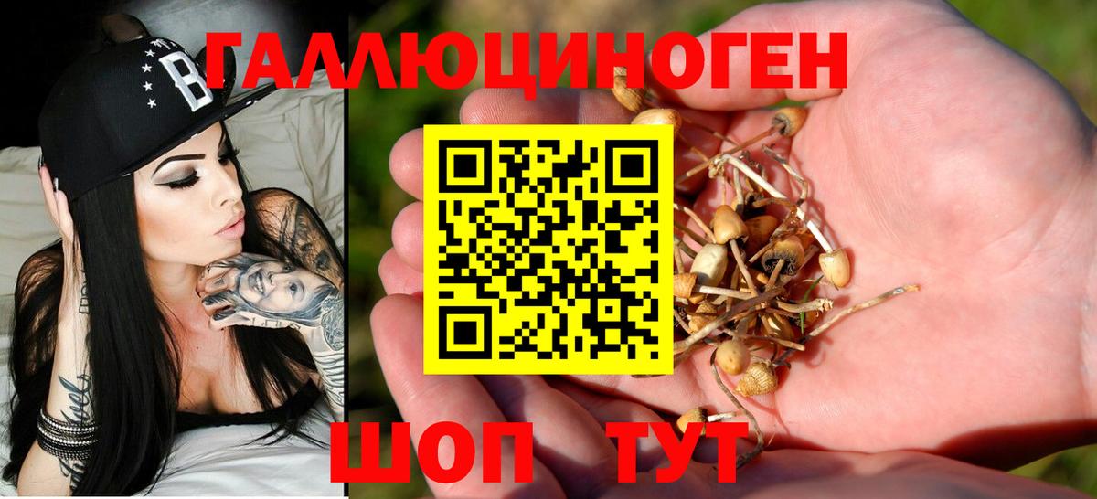 Псилоцибиновые грибы Psilocybe Карталы