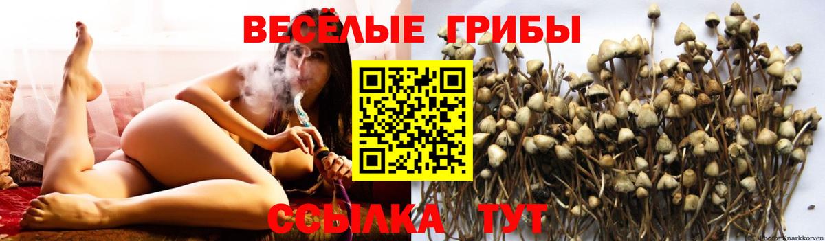 Карталы  Псилоцибиновые грибы мухоморы  Вход с VPN 